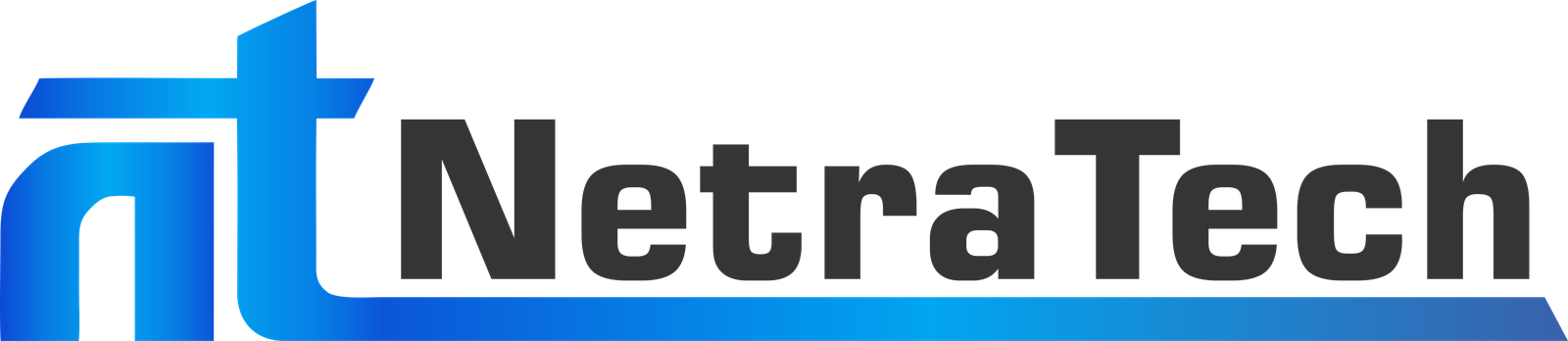 Netra Tech Solutions